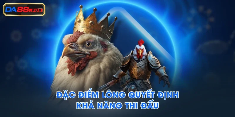 Đặc điểm lông quyết định khả năng thi đấu Đặc điểm lông quyết định khả năng thi đấu