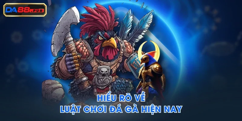 Hiểu rõ về luật chơi đá gà hiện nay Hiểu rõ về luật chơi đá gà hiện nay