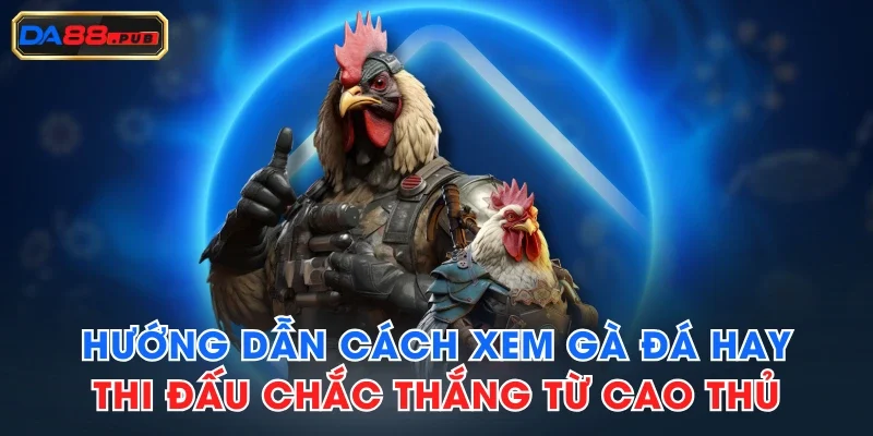 Hướng Dẫn Cách Xem Gà Đá Hay, Thi Đấu Chắc Thắng Từ Cao Thủ