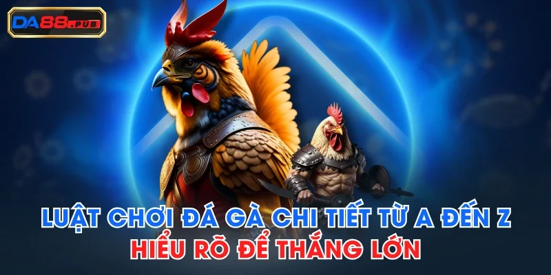 Luật Chơi Đá Gà Chi Tiết Từ A Đến Z - Hiểu Rõ Để Thắng Lớn