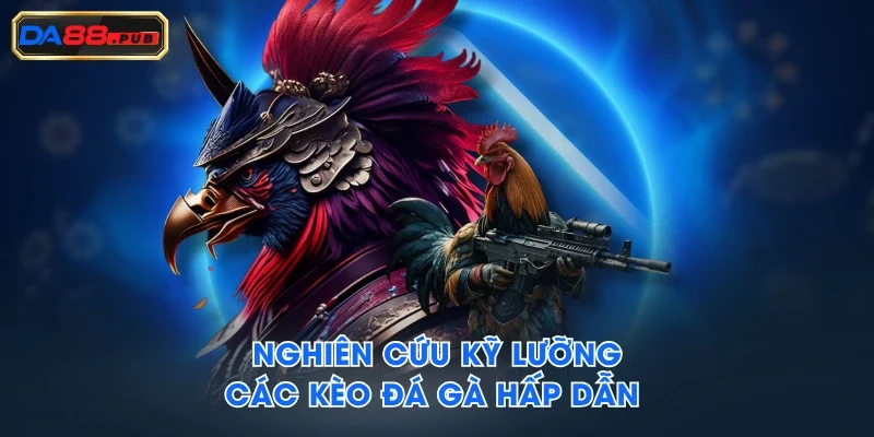 Nghiên cứu kỹ lưỡng các kèo đá gà hấp dẫn Nghiên cứu kỹ lưỡng các kèo đá gà hấp dẫn