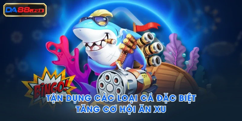 Tận dụng các loại cá đặc biệt tăng cơ hội ăn xu Tận dụng các loại cá đặc biệt tăng cơ hội ăn xu