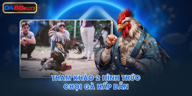 Tham khảo 2 hình thức chọi gà hấp dẫn Tham khảo 2 hình thức chọi gà hấp dẫn