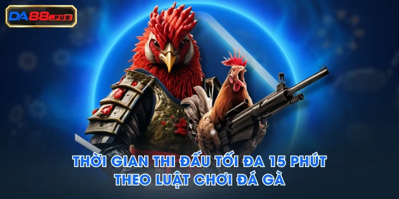 Thời gian thi đấu tối đa 15 phút theo luật chơi đá gà Thời gian thi đấu tối đa 15 phút theo luật chơi đá gà