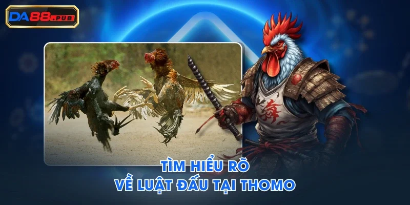 Tìm hiểu rõ về luật đấu tại Thomo Tìm hiểu rõ về luật đấu tại Thomo