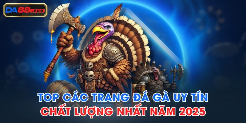 Top Các Trang Đá Gà Uy Tín, Chất Lượng Nhất Năm 2025