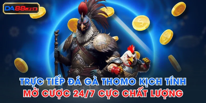 Trực Tiếp Đá Gà Thomo Kịch Tính, Mở Cược 24/7 Cực Chất Lượng
